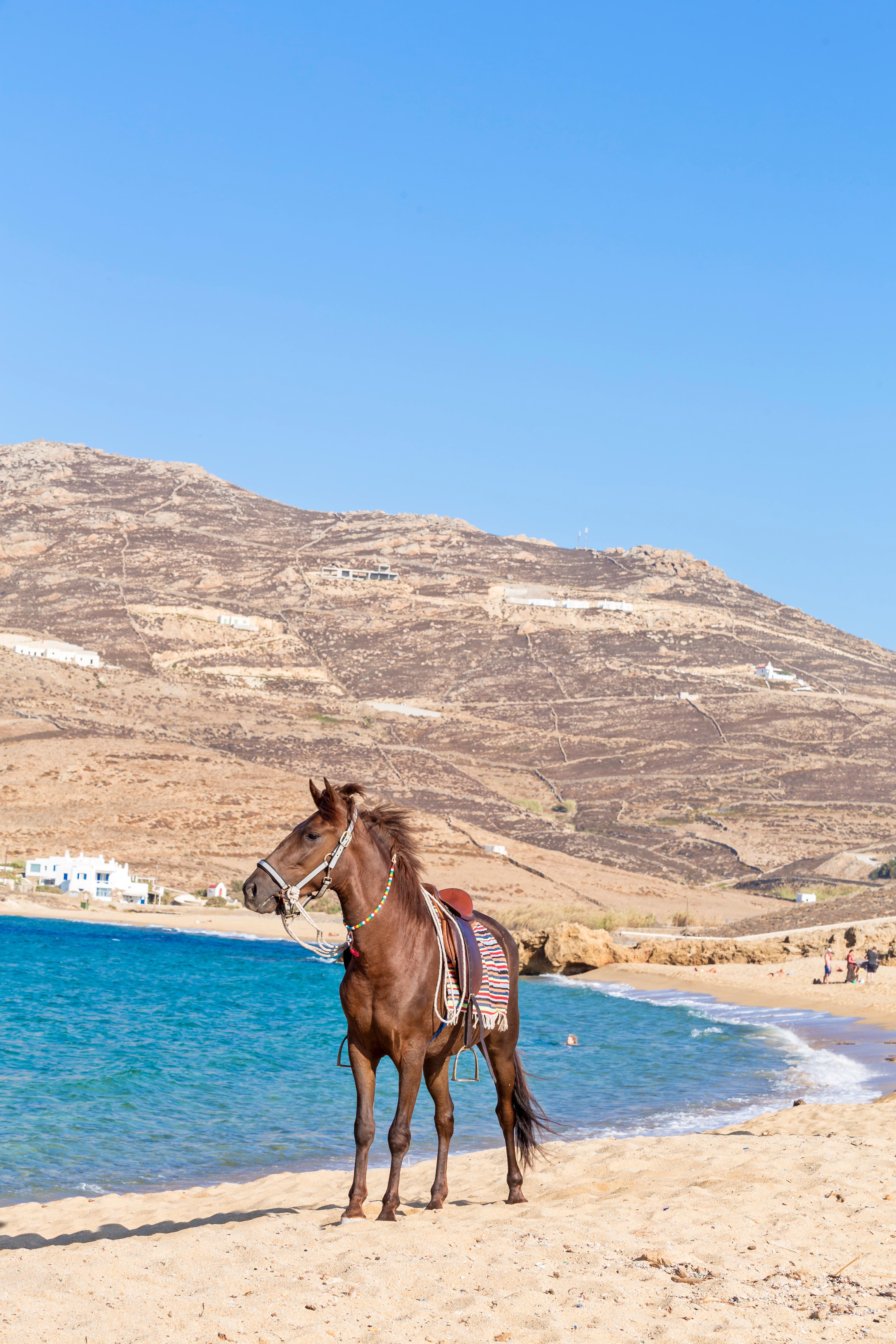 Anamar Mykonos Natural Retreat Ftelia  Eksteriør bilde