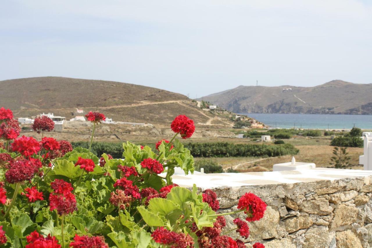 Anamar Mykonos Natural Retreat Ftelia  Eksteriør bilde