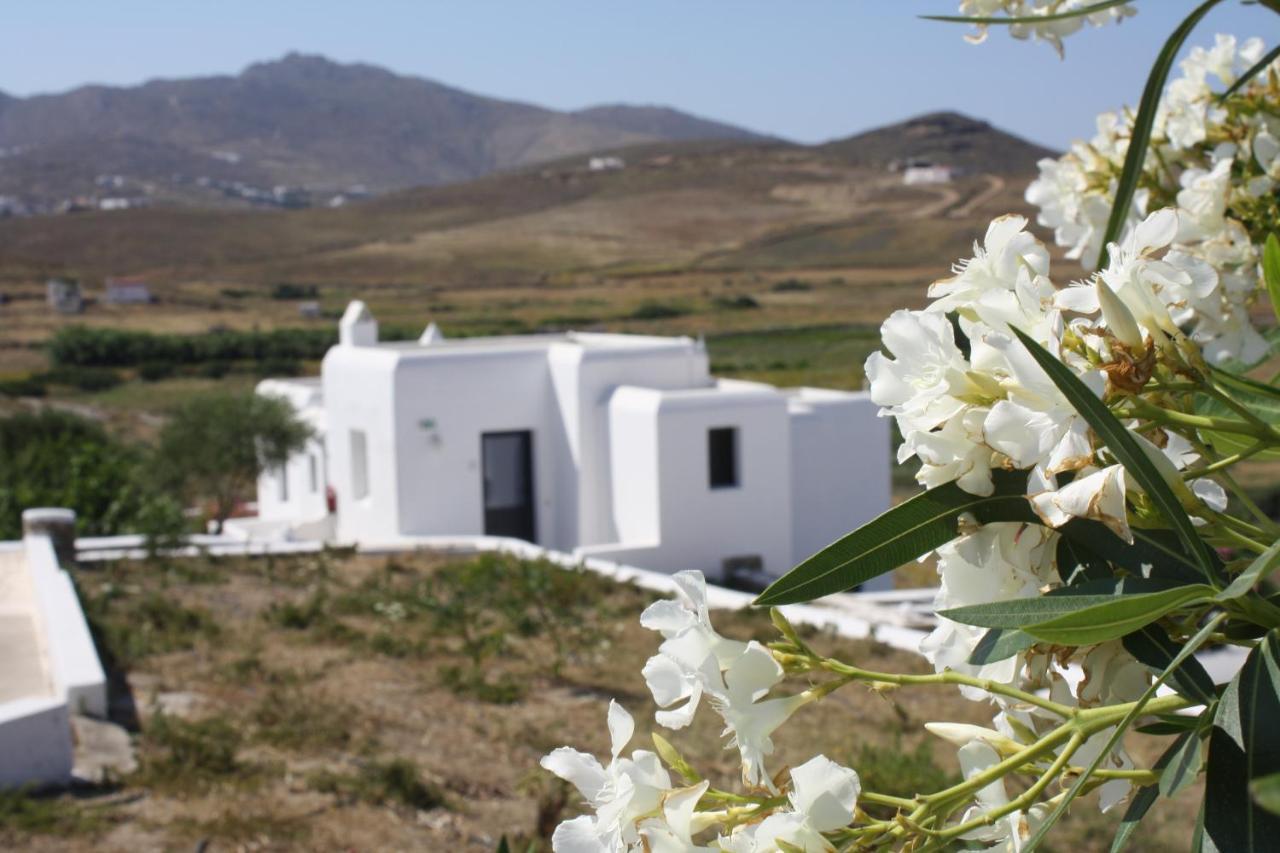 Anamar Mykonos Natural Retreat Ftelia  Eksteriør bilde
