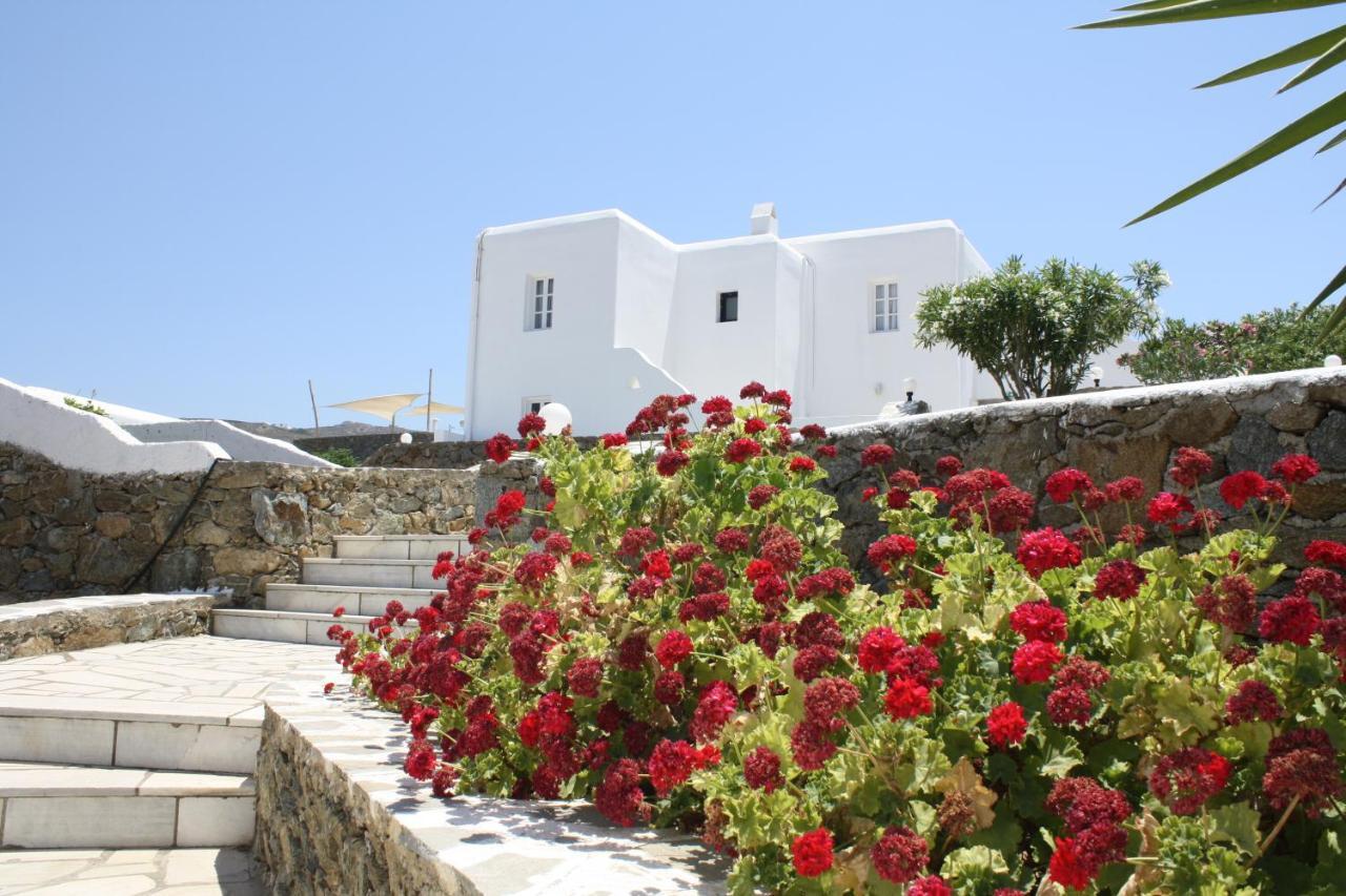 Anamar Mykonos Natural Retreat Ftelia  Eksteriør bilde